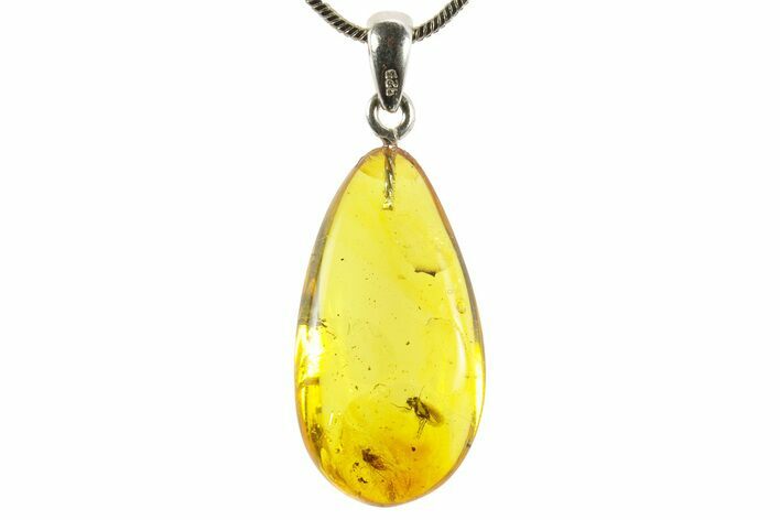 Polished Baltic Amber Pendant (Necklace) - Contains Flies! #367364